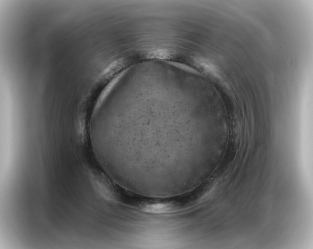 X0000087000312200704301403