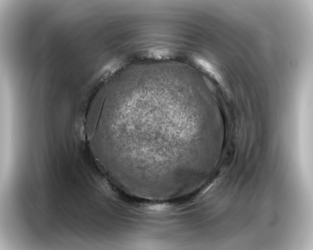 X0000087000313200704301403