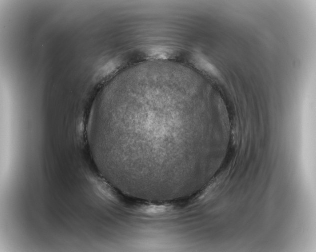 X0000087000314200704301403