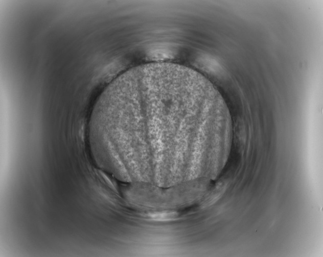 X0000087000315200704301403