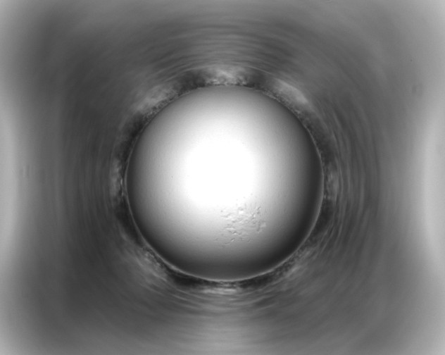 X0000087000318200704301403
