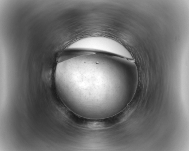 X0000087000319200704301403