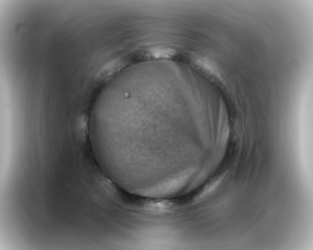 X0000087000321200704301403