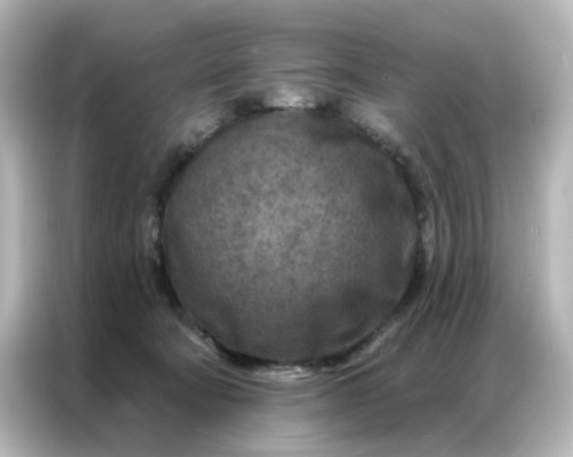 X0000087000322200704301403