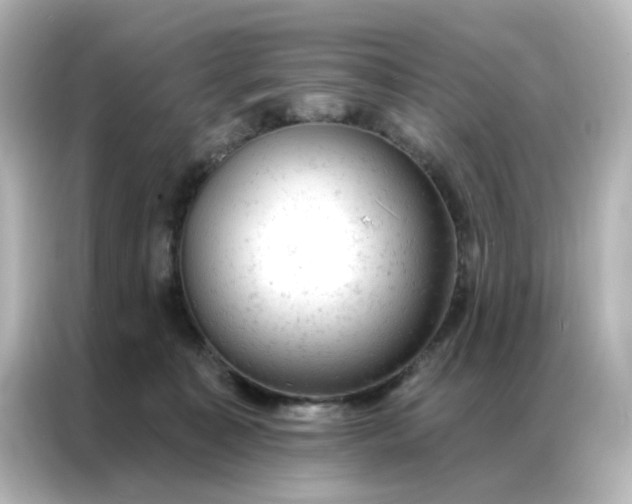 X0000087000323200704301403