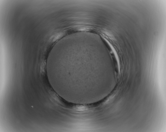 X0000087000325200704301403