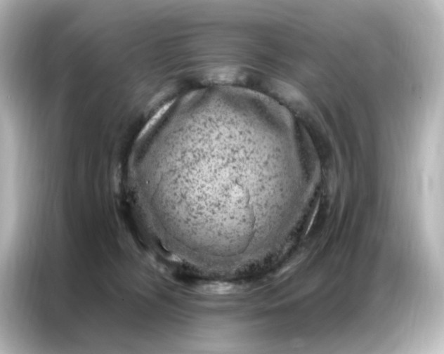 X0000087000326200704301403