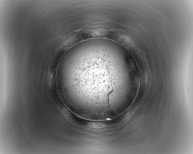 X0000087000327200704301403