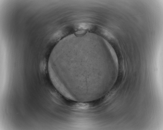 X0000087000328200704301403