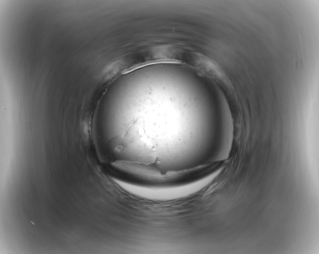 X0000087000329200704301403