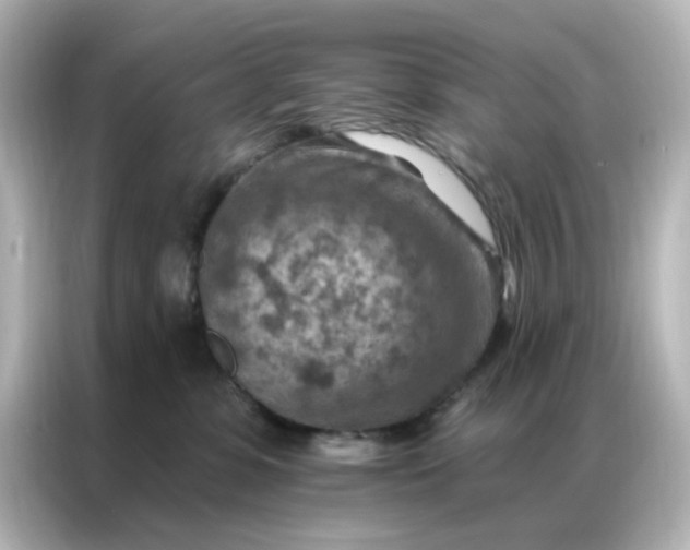 X0000087000331200704301403