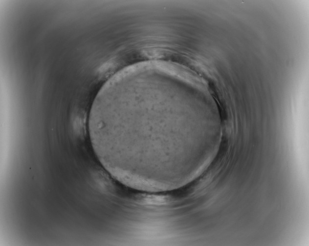 X0000087000332200704301403