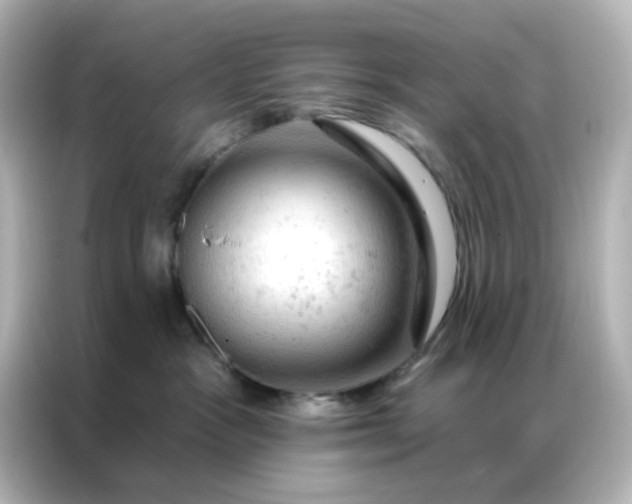X0000087000333200704301403