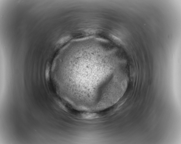 X0000087000334200704301403
