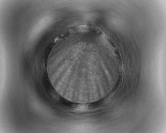 X0000087000335200704301403