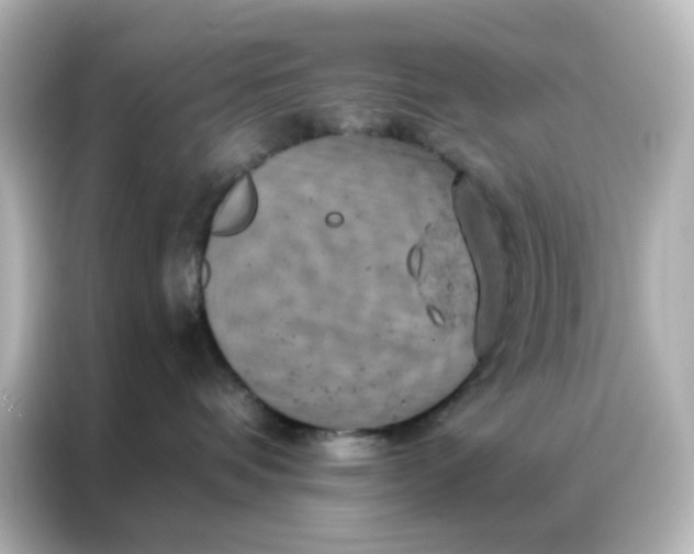 X0000087000336200704301403