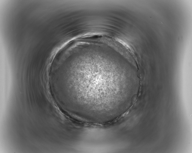 X0000087000337200704301402