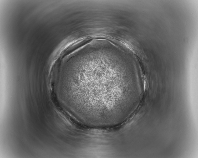 X0000087000339200704301402