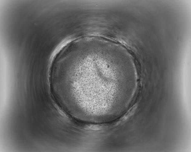 X0000087000341200704301402