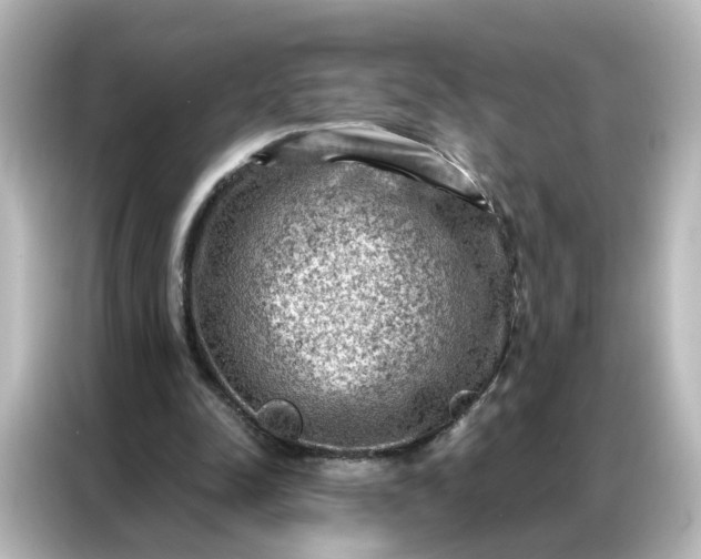 X0000087000342200704301402