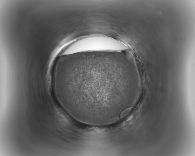 X0000087000343200704301402