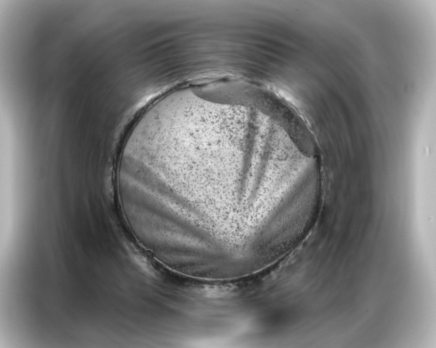 X0000087000345200704301402