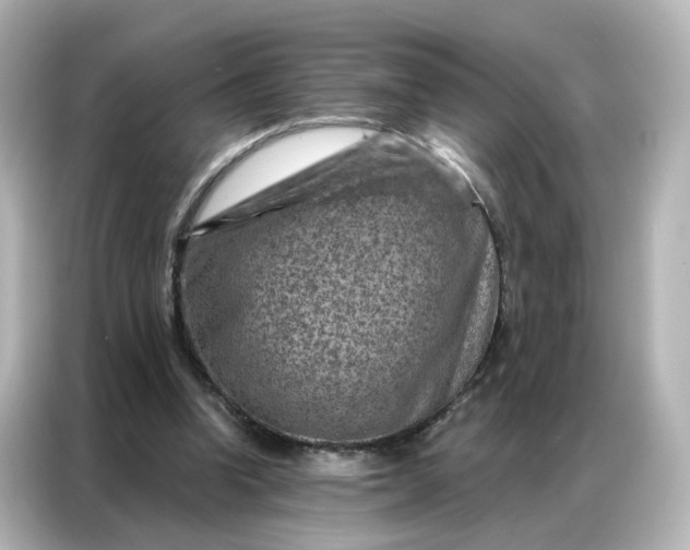 X0000087000346200704301402