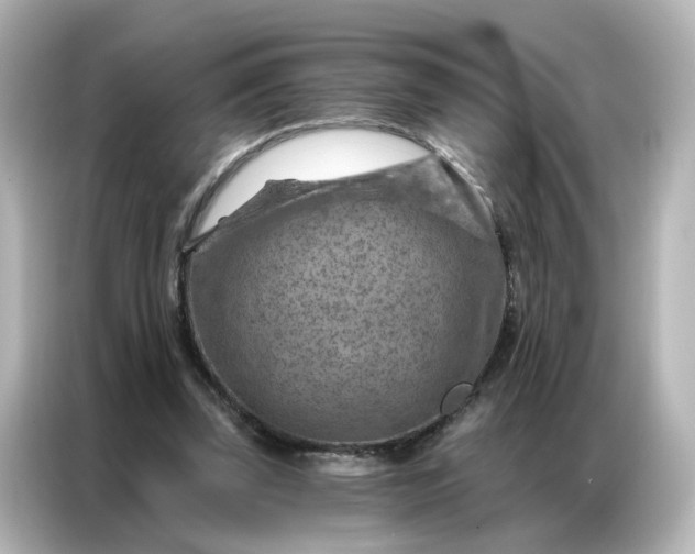 X0000087000347200704301402