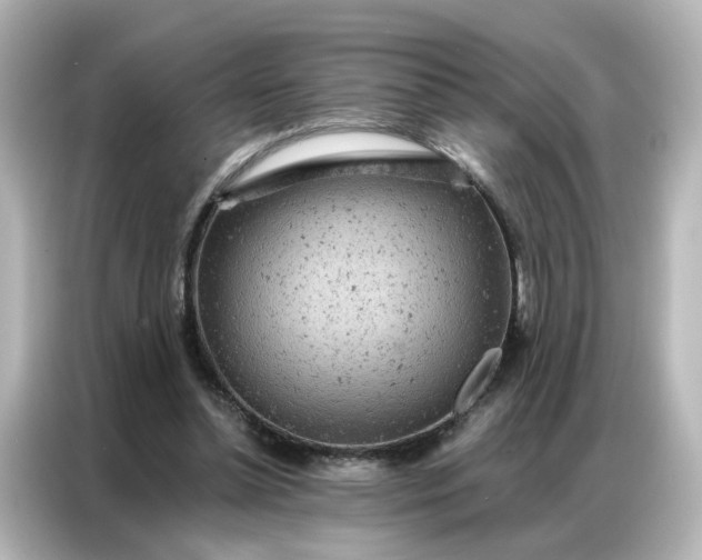 X0000087000348200704301402