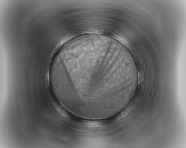 X0000087000349200704301402