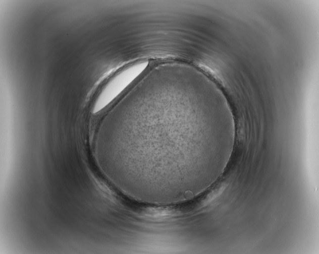 X0000087000351200704301402