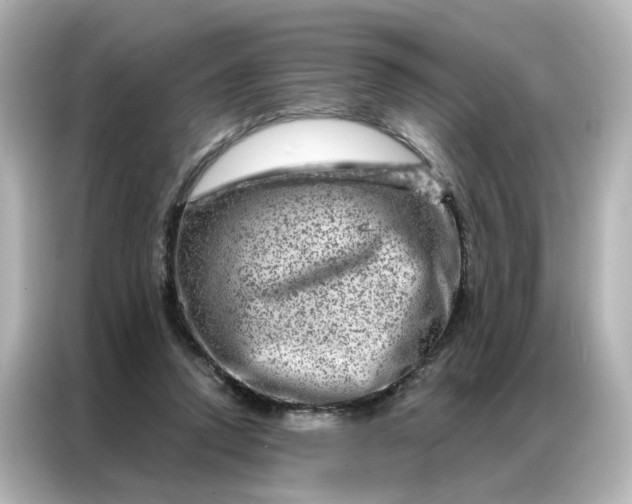 X0000087000354200704301402