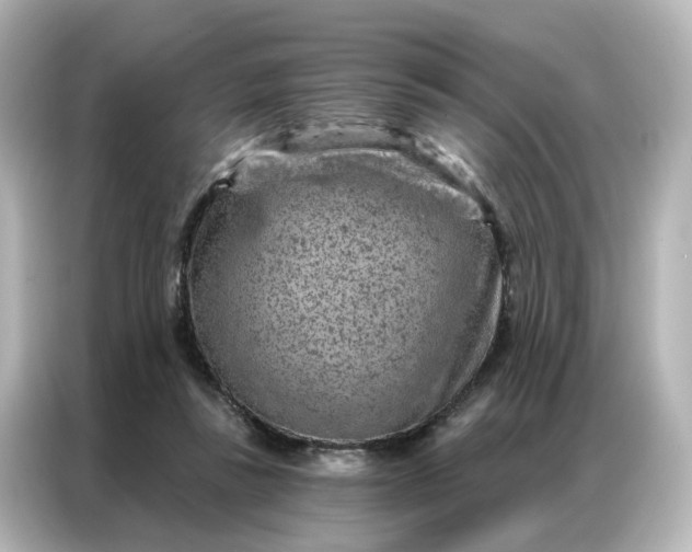 X0000087000355200704301402