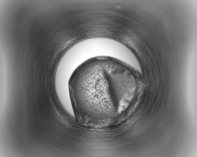 X0000087000356200704301402