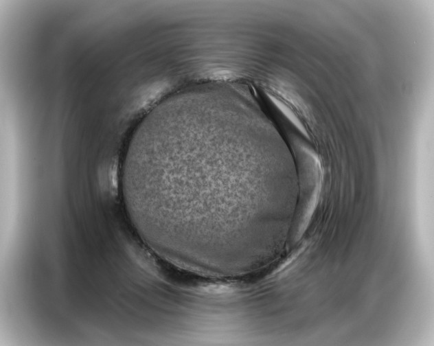 X0000087000358200704301402