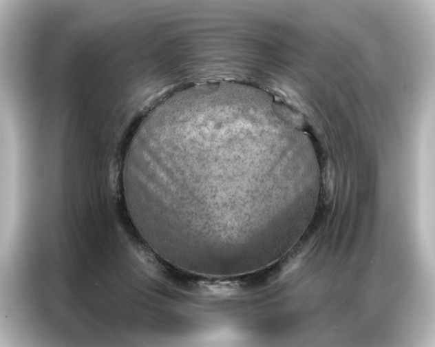 X0000087000359200704301402