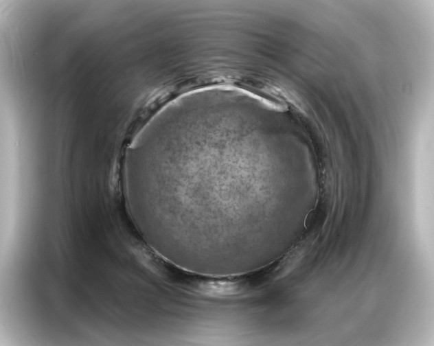 X0000087000361200704301402