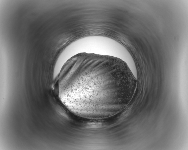 X0000087000362200704301402