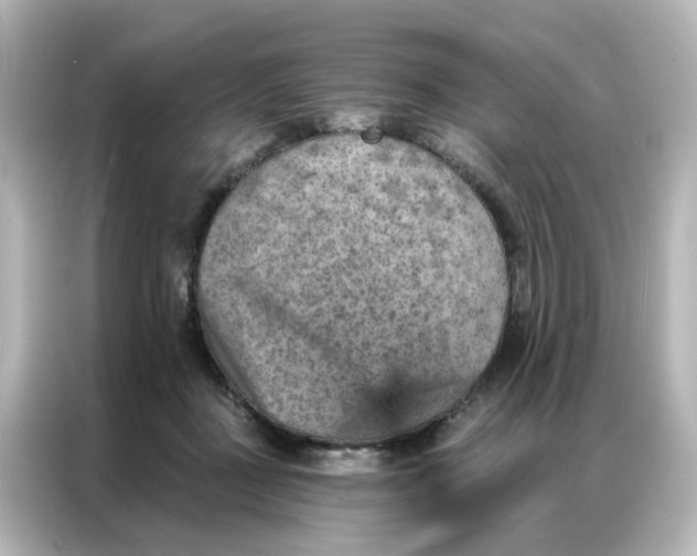 X0000087000363200704301402