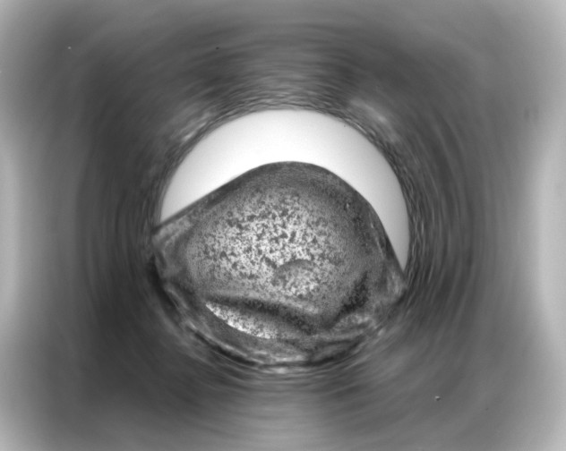X0000087000364200704301402