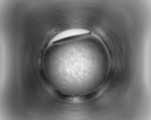 X0000087000365200704301402
