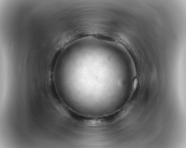 X0000087000366200704301402