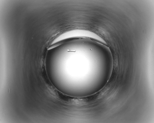 X0000087000367200704301402