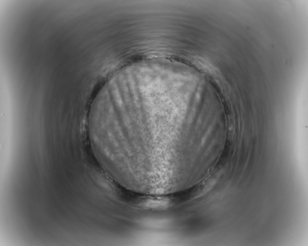 X0000087000369200704301402