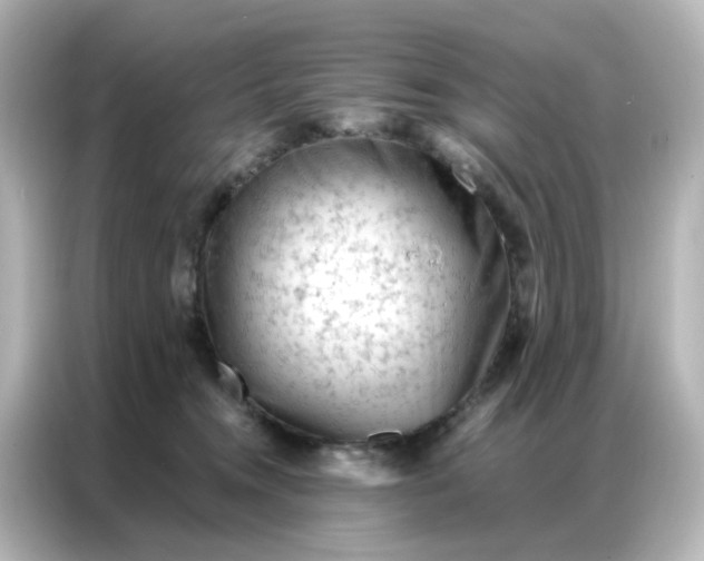 X0000087000372200704301402