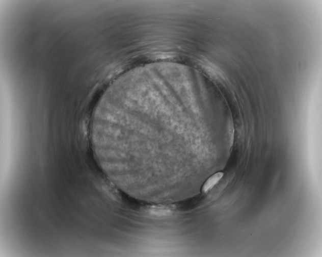 X0000087000373200704301402