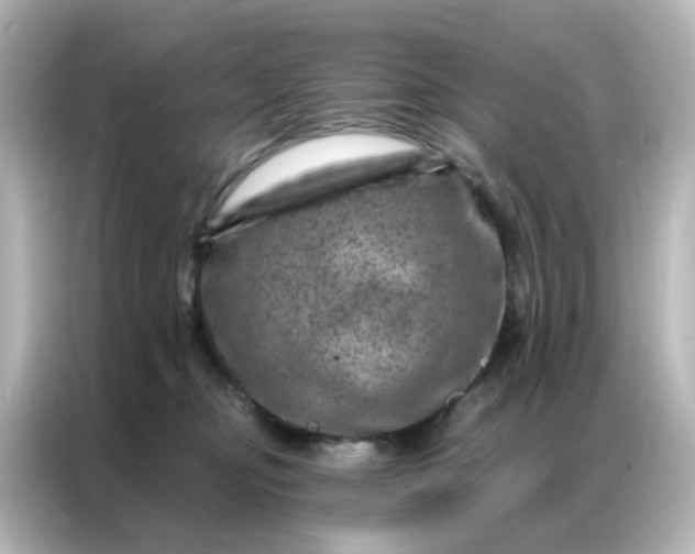 X0000087000374200704301402
