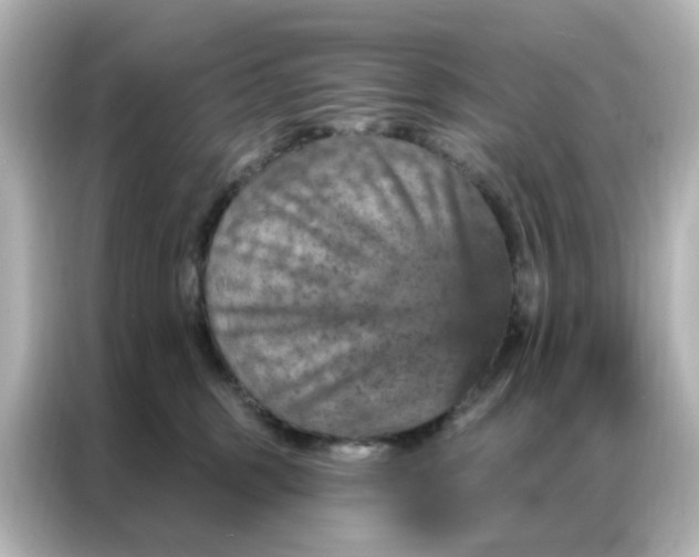 X0000087000375200704301402