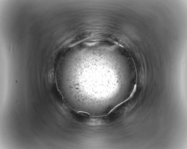 X0000087000376200704301402