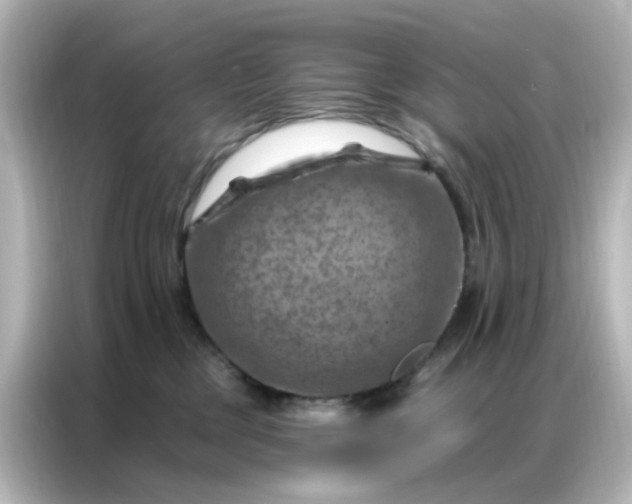 X0000087000377200704301402